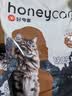 HONEYCARE好命家 好命天生 活性炭矿石膨润土猫砂10kg/箱 实拍图