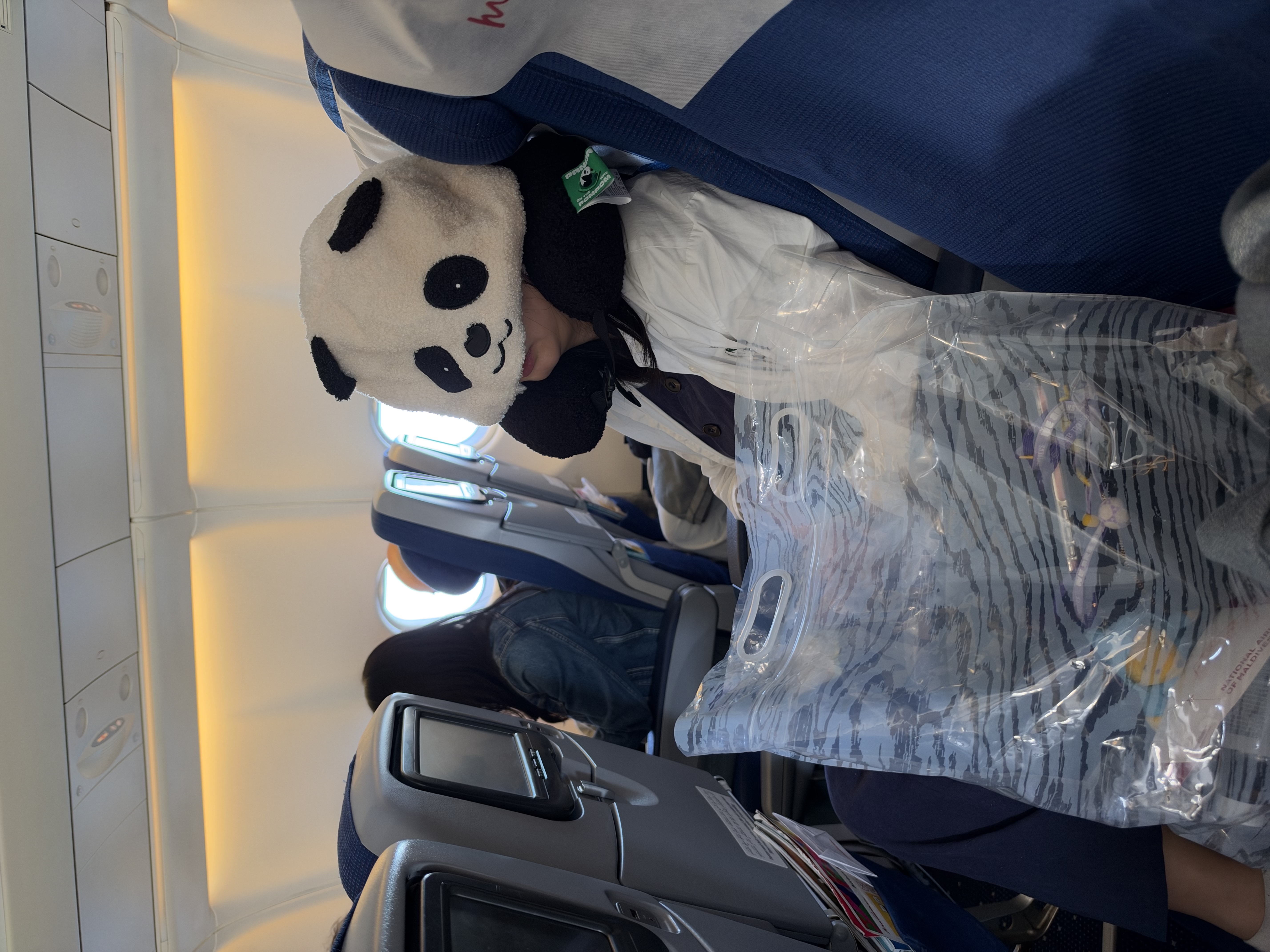 野兽派家居（tbh）熊猫噗噗旅行小憩套装毯子帆布袋颈枕办公室午休枕空调毛毯三件套 实拍图