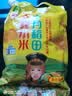 十月稻田 赤峰小米 1kg 内蒙古敖汉旗 黄小米杂粮 小米黄小米 实拍图