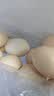 大码鲜鸡蛋1.8kg 实拍图