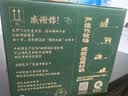 伊利金典纯牛奶 250ml*12盒 3.6g乳蛋白原生高钙中秋礼品礼盒装 实拍图