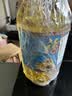 福临门食用油 葵花籽清香食用植物调和油5L 中粮出品 新老包装随机发货 实拍图