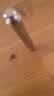 三资堂染眉膏03粉棕柔雾眉粉女士眉笔防水防汗不掉色根根分明野生眉持妆 实拍图