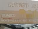 京地达黄桃水果桃子蒙阴新鲜应季蜜桃 净重4.5斤 单果150g起 源头直发 实拍图