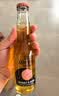 科罗娜（CORONA）特级啤酒330ml*12瓶整箱装经典拉格京东自营 实拍图