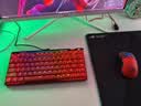 ROG魔导士Ace 75HE V2X有线游戏键盘 磁轴键盘HFX V2X磁轴RT0.01电竞机械键盘小蜜蜂冠军战队同款红色 实拍图