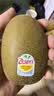 佳沛（zespri）新西兰金奇异果18粒超大原箱175-204g猕猴桃水果礼盒 实拍图