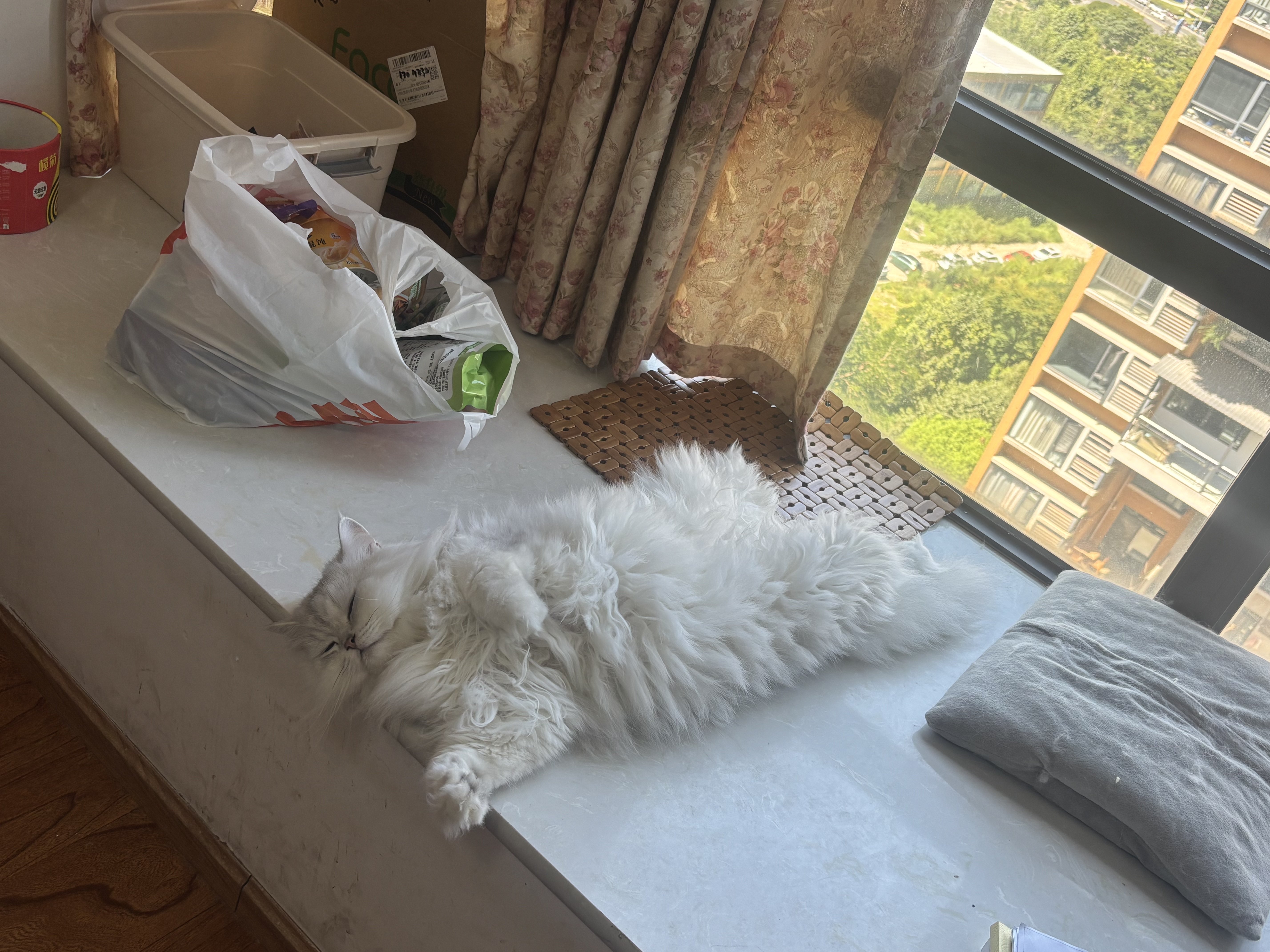 沃趣 猫砂膨润土20斤强效除臭低粉尘易结团青柠大包装小颗粒遇水释香 实拍图
