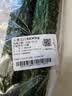 长黄瓜约600g 实拍图