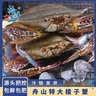 【冷冻】森农乐舟山梭子蟹新鲜特大野生螃蟹（今年新蟹活冻顺丰） 7-9两/只【5斤净重 特大肥壮】 实拍图