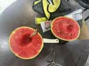 手剥皮小西瓜2K小糖丸西瓜新鲜水果薄皮西瓜脆甜手撕红肉甜瓜整箱 小糖丸3-4斤(1-2粒) 实拍图