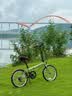 大行（DAHON）D6折叠自行车20英寸6速成人休闲单车 KBC061 青草绿 20英寸 实拍图
