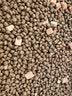 麦富迪猫粮 超肉粒冻干双拼幼猫粮免疫护肠胃 三文鱼2kg 实拍图