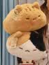 婴果小岛正版趴趴猫咪抱枕小猫玩偶睡觉抱毛绒可爱公仔圣诞节生日礼物女生 花花小猫 50cm【正版联名】 实拍图
