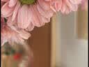 多头小雏菊60cm 5枝(颜色随机） 实拍图