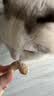 生生不息冻干小鸡脖宠物磨牙棒猫狗洁齿零食2.0升级版 100g 实拍图