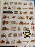DK世界万物的由来  实拍图
