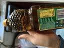 多力非转基因低芥酸浓香菜籽油700ml 实拍图