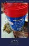 高培【升级款】新西兰原装进口草饲学霸乳脂球膜儿童成长高钙4段 学霸奶粉800g*3罐 实拍图