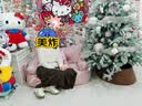 猫人吊带背心女带胸垫无痕粉底液隐形美背文胸一体抹胸内搭外穿上衣 晒单实拍图