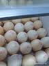 黄天鹅【美食大赛同款】可生食鲜鸡蛋30枚/3.18斤礼盒装京东自营中秋礼 实拍图