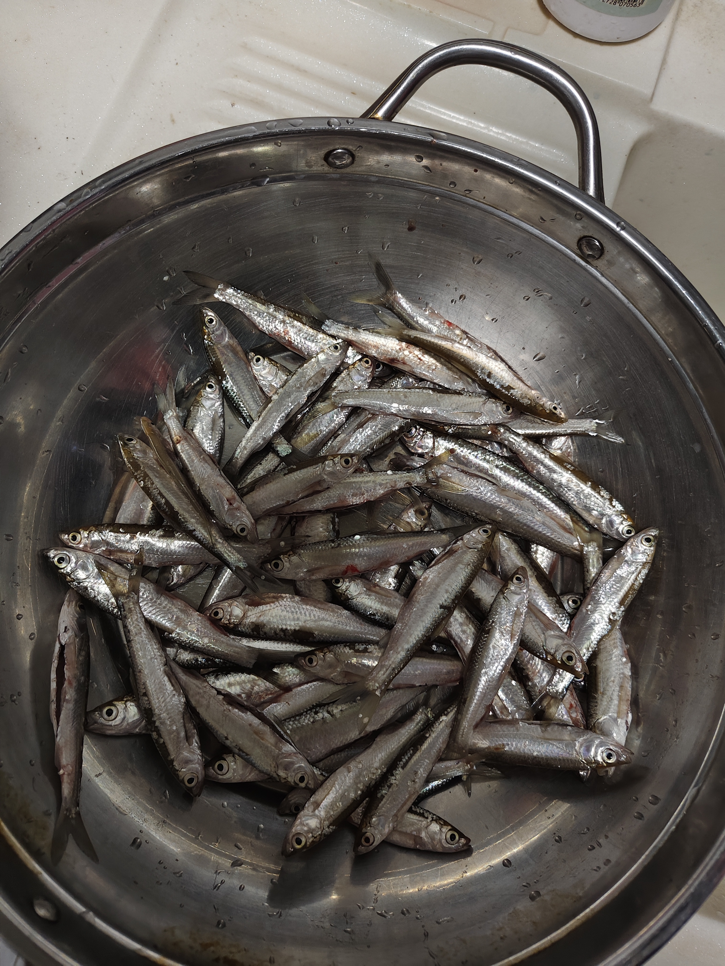 龙王恨鱼饵统爆拉丝粉小麦蛋白粉黑坑野钓鲫鲤翘嘴鳊鱼饵料添加剂状态饵 实拍图