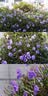 永诺YN50mm F1.8S 索尼E口标准定焦镜头 适用于ZVE10 A6000等索尼相机 黑壳 新品 实拍图