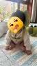 babycare防摔枕头部保护垫婴儿防摔护头枕学步防撞头神器 哈利恐龙升级款 实拍图