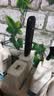 中兴（ZTE）F32随身wifi6免插卡无线上网卡支持5G/4G设备全网通路由器无限随行wi-fi车载宿舍户外流量卡托2026 实拍图