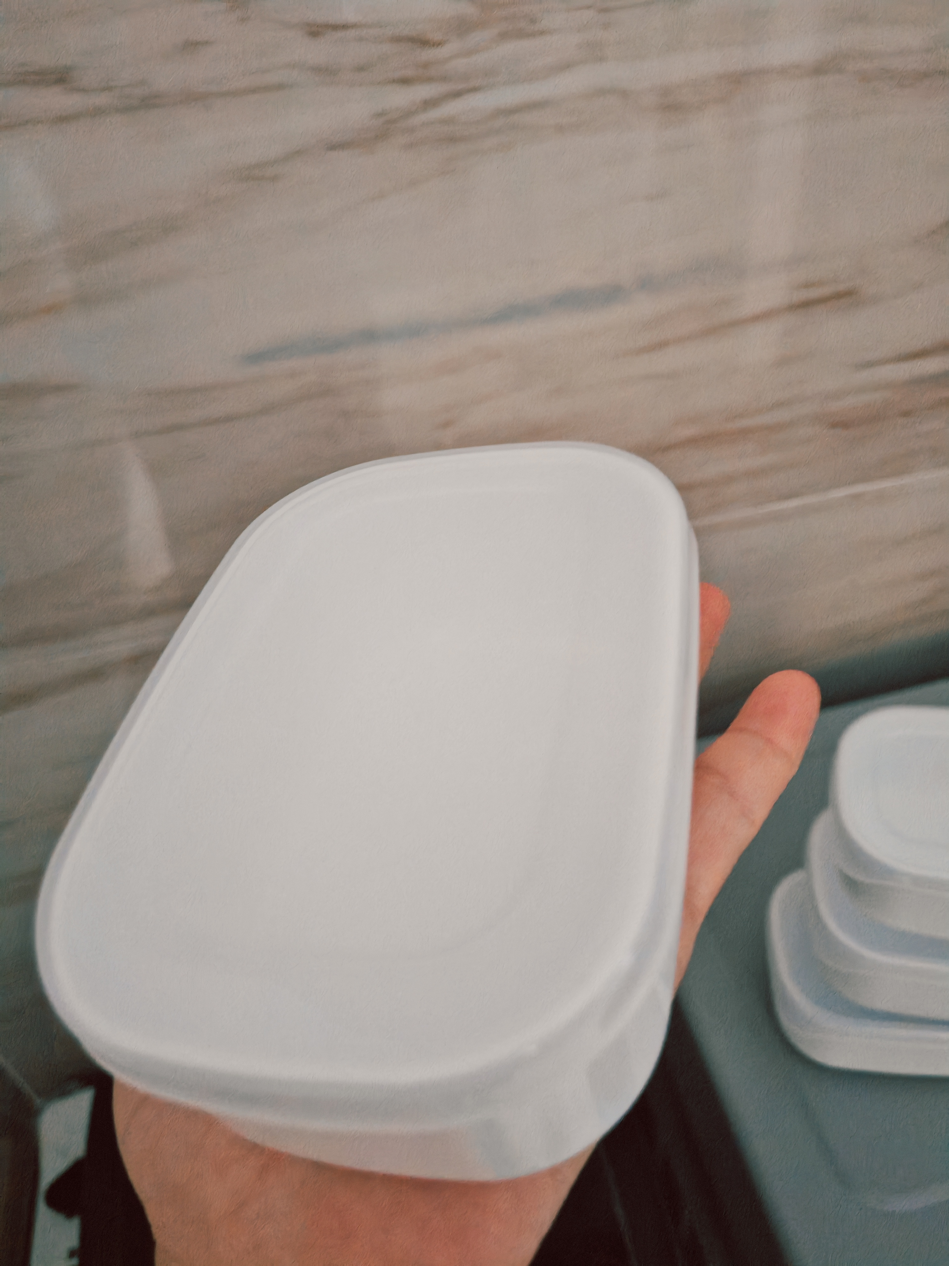 家の物语（KATEI STORY）糙米饭分装盒杂粮迷你保鲜盒食品级收纳盒冷冻微波炉小饭盒4件套 实拍图