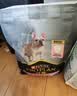 冠能狗粮成犬皮肤呵护成犬狗粮全价2.5kg 配方升级 新老包装随机发货 实拍图