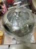 德铂汤锅不锈钢单层蒸锅蒸笼电磁炉两用锅艾琳诺26cm 实拍图