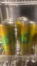 维他奶维他经典柠檬茶饮料310ml*24罐 家庭聚会 铝罐整箱装 实拍图