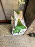 蒙牛【新鲜日期】全脂纯牛奶200ml*24盒 3.2g蛋白 家庭送礼囤货 实拍图