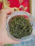 沏万年小叶苦丁茶特级2026嫩芽正宗贵州高血糖血压血脂清肝新茶叶100g 实拍图