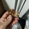 寒山石新疆和田大枣500g红枣蜜饯果干免洗即食骏枣玉枣煲粥泡茶枣子零食 红枣500g*1袋 实拍图