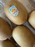 佳沛（zespri）金奇异果25-27粒原箱特大果124-146g猕猴桃水果礼盒 实拍图
