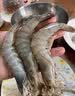 三只海豚 国产青岛大虾 特大号白虾 20/30规格 净重3斤盒装 活虾速冻虾类 实拍图
