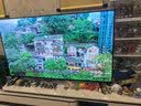 TCL雷鸟50雀4【固定挂架送装一体】京东联名款 京东OS开机无广告  JD 01系列 50英寸 一级能效电视 实拍图