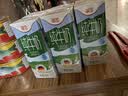 德亚脱脂牛奶200ml*6（德国进口）开学学生礼物 实拍图