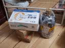 陶华碧老干妈  辣椒酱 香辣脆油辣椒酱210g 贵州特产  实拍图