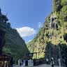 有棵树【特护级首穿免洗】A类婴儿棉女士内裤女10A抗菌蚕丝裆透气三角裤 实拍图