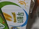 伊利早餐奶麦香味 250ml*24盒 浓香麦片早餐伴侣 礼盒装 实拍图