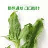 【水果菜】冰草 250g 实拍图