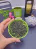 七春2026绿茶信阳毛尖新茶河南特产小罐装冷泡茶品鉴茶叶30g 实拍图