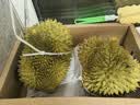 京鲜生进口金枕巴掌榴莲2个装净重4.5-5.5斤单果2-3斤源头直发 实拍图