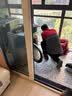京东家政家电清洗 滚筒洗衣机(单筒无烘干)全拆洗 家电清洗上门服务 专业高温蒸汽清洗机高效清洗剂清洁剂 实拍图