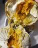 【活蟹】漁家师傅大闸蟹全母4-4.3两6只固城湖螃蟹去绳足重现货鲜活生鲜水产海鲜礼盒 实拍图
