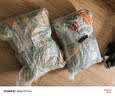 雷米高（RAMICAL）成犬幼犬全价犬粮泰迪金毛拉布拉多柯基澳宝犬粮20kg（500g*40包) 实拍图