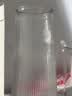 吕姆克花瓶玻璃客厅摆件鲜花插花仿真干花富贵竹水养花瓶透明两个装5043 实拍图